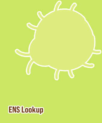 Btc address lookup