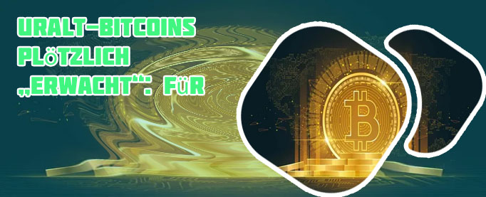 Wholecoiner bitcoin